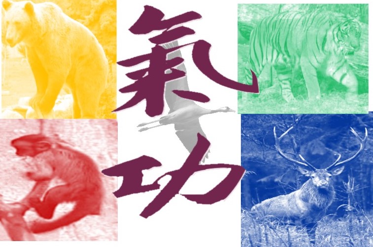 Le jeu des cinq animaux " Wu Qin Xi" & les 5 animaux spontanés